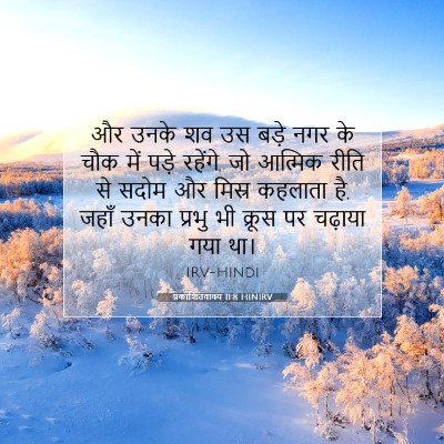 Picture 07 - प्रकाशितवाक्य 11:8 HINIRV - और उनके शव उस बड़े - Bible Verse Picture