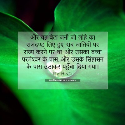 Picture 07 - प्रकाशितवाक्य 12:5 HINIRV - और वह बेटा जनी जो - Bible Verse Picture