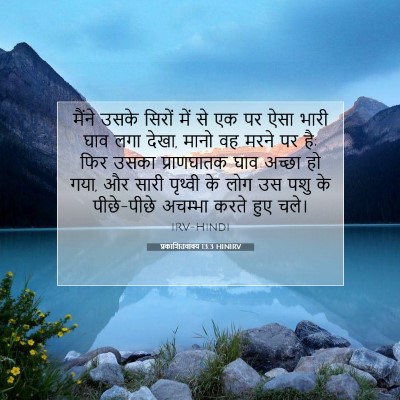 Picture 07 - प्रकाशितवाक्य 13:3 HINIRV - मैंने उसके सिरों - Bible Verse Picture