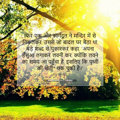 Picture 07 - प्रकाशितवाक्य 14:15 HINIRV - फिर एक और - Bible Verse Picture