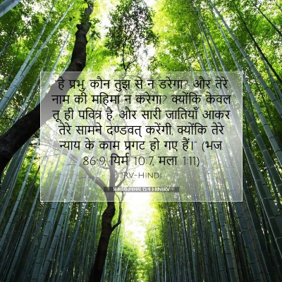 Picture 07 - प्रकाशितवाक्य 15:4 HINIRV - “हे प्रभु, कौन तुझ - Bible Verse Picture