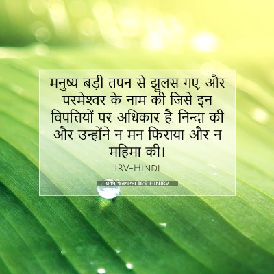 Picture 07 - प्रकाशितवाक्य 16:9 HINIRV - मनुष्य बड़ी तपन से - Bible Verse Picture