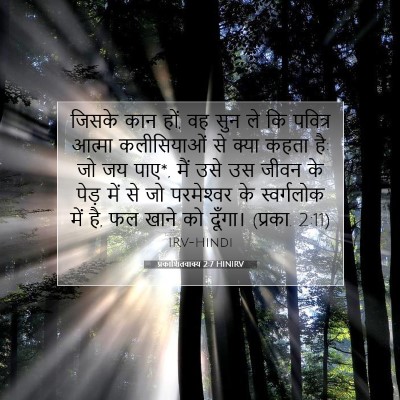 Picture 07 - प्रकाशितवाक्य 2:7 HINIRV - जिसके कान हों, वह - Bible Verse Picture