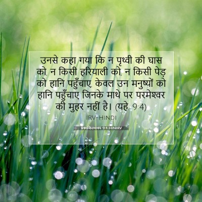 Picture 07 - प्रकाशितवाक्य 9:4 HINIRV - उनसे कहा गया कि न - Bible Verse Picture