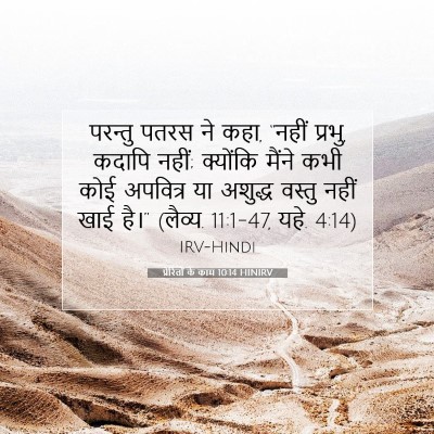 Picture 07 - प्रेरितों के काम 10:14 HINIRV - परन्तु पतरस ने कहा, - Bible Verse Picture