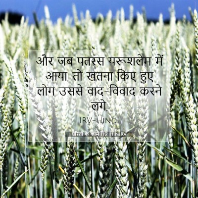Picture 07 - प्रेरितों के काम 11:2 HINIRV - और जब पतरस यरूशलेम - Bible Verse Picture