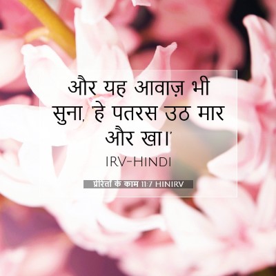 Picture 07 - प्रेरितों के काम 11:7 HINIRV - और यह आवाज़ भी - Bible Verse Picture