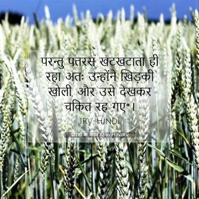 Picture 07 - प्रेरितों के काम 12:16 HINIRV - परन्तु पतरस - Bible Verse Picture
