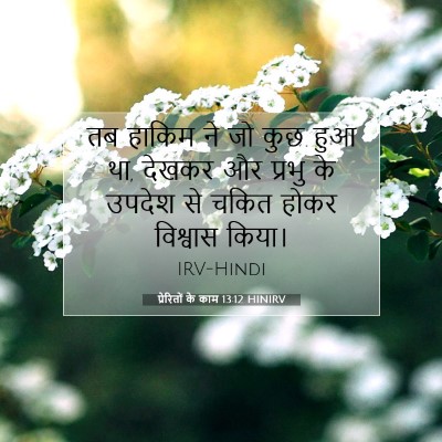 Picture 07 - प्रेरितों के काम 13:12 HINIRV - तब हाकिम ने जो कुछ - Bible Verse Picture
