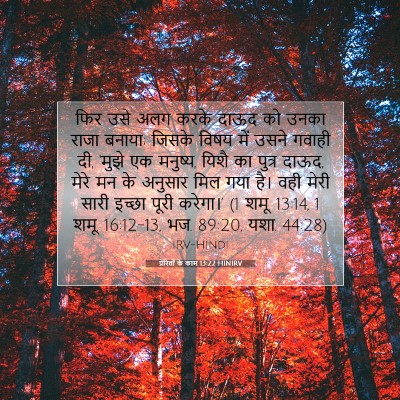 Picture 07 - प्रेरितों के काम 13:22 HINIRV - फिर उसे अलग करके - Bible Verse Picture