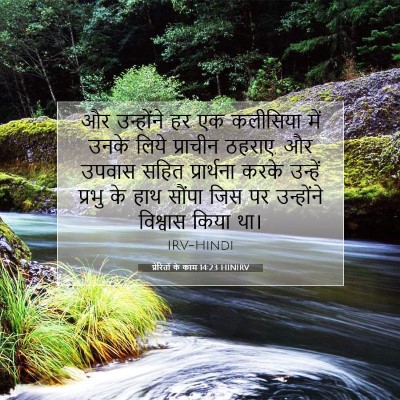 Picture 07 - प्रेरितों के काम 14:23 HINIRV - और उन्होंने हर एक - Bible Verse Picture