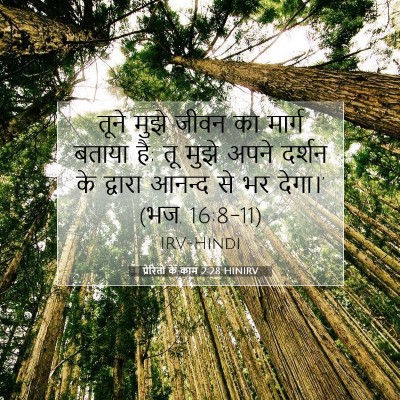 Picture 07 - प्रेरितों के काम 2:28 HINIRV - तूने मुझे जीवन का - Bible Verse Picture