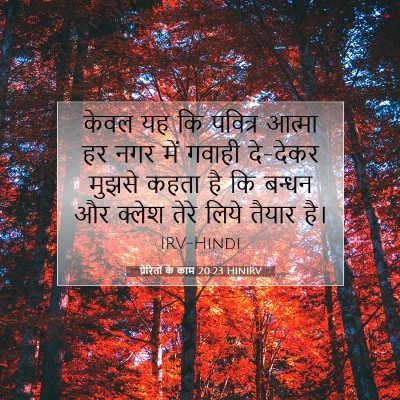 Picture 07 - प्रेरितों के काम 20:23 HINIRV - केवल यह कि पवित्र - Bible Verse Picture