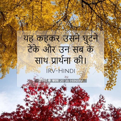 Picture 07 - प्रेरितों के काम 20:36 HINIRV - यह कहकर उसने घुटने - Bible Verse Picture