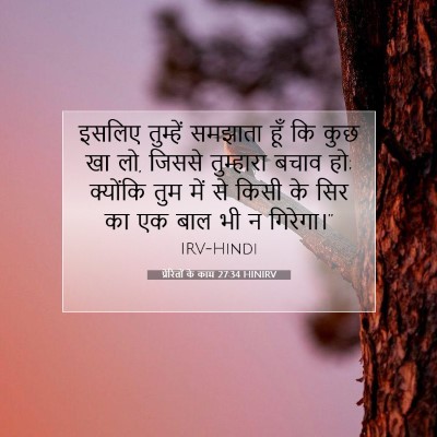 Picture 07 - प्रेरितों के काम 27:34 HINIRV - इसलिए तुम्हें - Bible Verse Picture