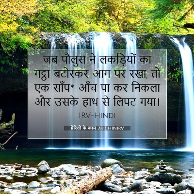 Picture 07 - प्रेरितों के काम 28:3 HINIRV - जब पौलुस ने - Bible Verse Picture