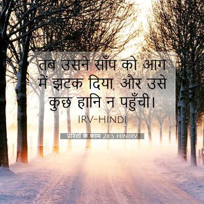 Picture 07 - प्रेरितों के काम 28:5 HINIRV - तब उसने साँप को आग - Bible Verse Picture