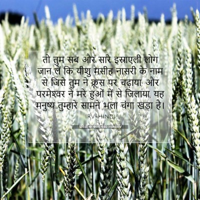 Picture 07 - प्रेरितों के काम 4:10 HINIRV - तो तुम सब और सारे - Bible Verse Picture