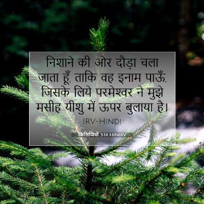 Picture 07 - फिलिप्पियों 3:14 HINIRV - निशाने की ओर दौड़ा - Bible Verse Picture