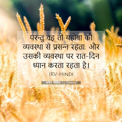Picture 07 - भजन संहिता 1:2 HINIRV - परन्तु वह तो यहोवा - Bible Verse Picture