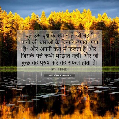 Picture 07 - भजन संहिता 1:3 HINIRV - वह उस वृक्ष के समान - Bible Verse Picture