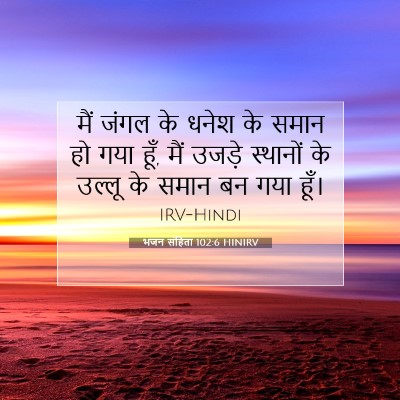 Picture 07 - भजन संहिता 102:6 HINIRV - मैं जंगल के धनेश के - Bible Verse Picture