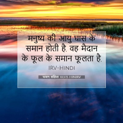 Picture 07 - भजन संहिता 103:15 HINIRV - मनुष्य की आयु घास - Bible Verse Picture