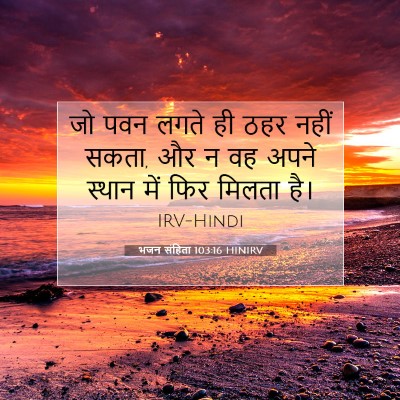Picture 07 - भजन संहिता 103:16 HINIRV - जो पवन लगते ही ठहर - Bible Verse Picture