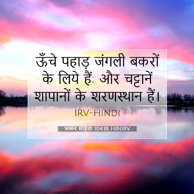 Picture 07 - भजन संहिता 104:18 HINIRV - ऊँचे पहाड़ जंगली - Bible Verse Picture