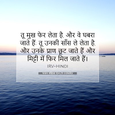 Picture 07 - भजन संहिता 104:29 HINIRV - तू मुख फेर लेता है, - Bible Verse Picture