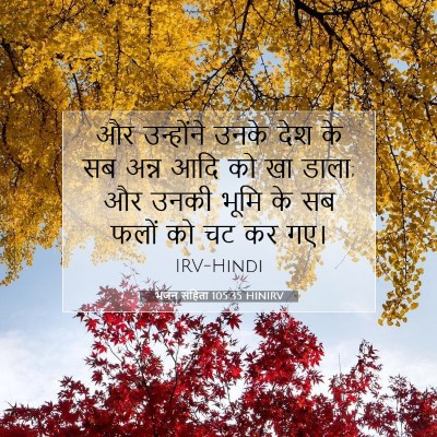 Picture 07 - भजन संहिता 105:35 HINIRV - और उन्होंने उनके - Bible Verse Picture