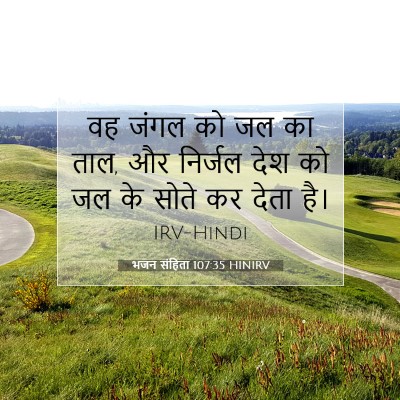 Picture 07 - भजन संहिता 107:35 HINIRV - वह जंगल को जल का - Bible Verse Picture