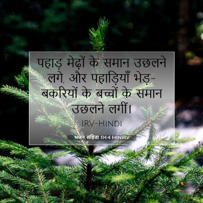 Picture 07 - भजन संहिता 114:4 HINIRV - पहाड़ मेढ़ों के - Bible Verse Picture