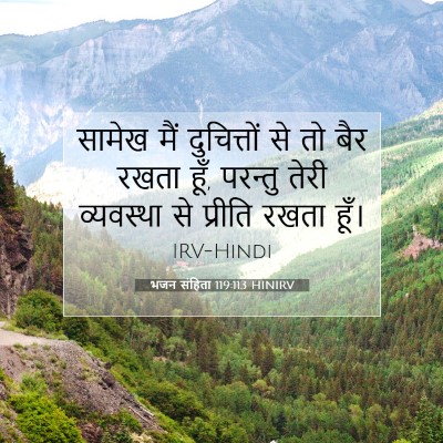 Picture 07 - भजन संहिता 119:113 HINIRV - सामेख मैं - Bible Verse Picture