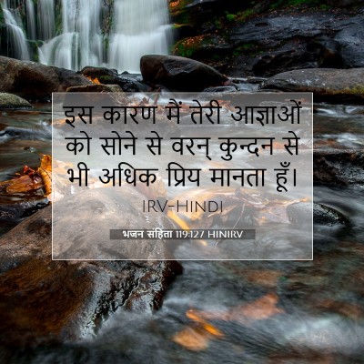 Picture 07 - भजन संहिता 119:127 HINIRV - इस कारण मैं तेरी - Bible Verse Picture