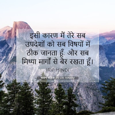 Picture 07 - भजन संहिता 119:128 HINIRV - इसी कारण मैं तेरे - Bible Verse Picture