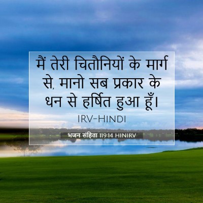 Picture 07 - भजन संहिता 119:14 HINIRV - मैं तेरी - Bible Verse Picture