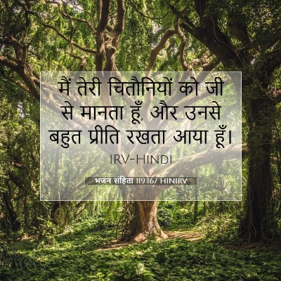 Picture 07 - भजन संहिता 119:167 HINIRV - मैं तेरी - Bible Verse Picture