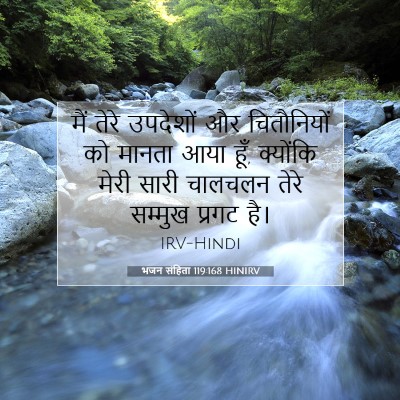Picture 07 - भजन संहिता 119:168 HINIRV - मैं तेरे उपदेशों - Bible Verse Picture