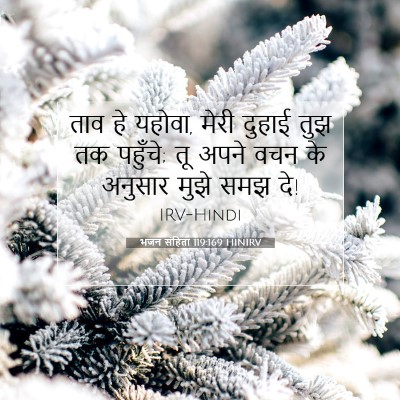 Picture 07 - भजन संहिता 119:169 HINIRV - ताव हे यहोवा, मेरी - Bible Verse Picture