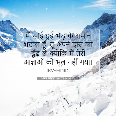 Picture 07 - भजन संहिता 119:176 HINIRV - मैं खोई हुई भेड़ के - Bible Verse Picture
