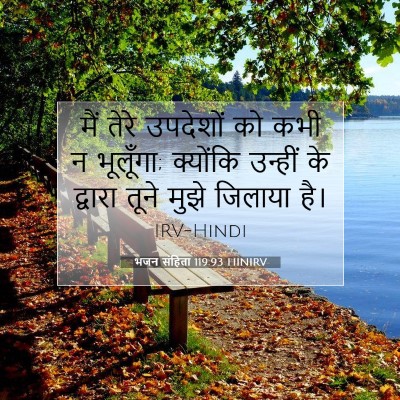 Picture 07 - भजन संहिता 119:93 HINIRV - मैं तेरे उपदेशों - Bible Verse Picture