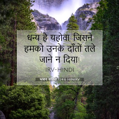 Picture 07 - भजन संहिता 124:6 HINIRV - धन्य है यहोवा, - Bible Verse Picture