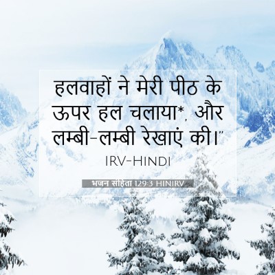 Picture 07 - भजन संहिता 129:3 HINIRV - हलवाहों ने मेरी - Bible Verse Picture