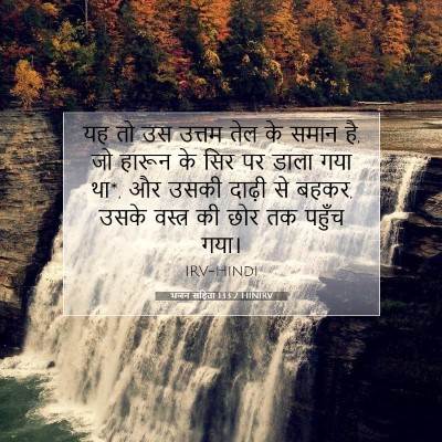 Picture 07 - भजन संहिता 133:2 HINIRV - यह तो उस उत्तम तेल - Bible Verse Picture