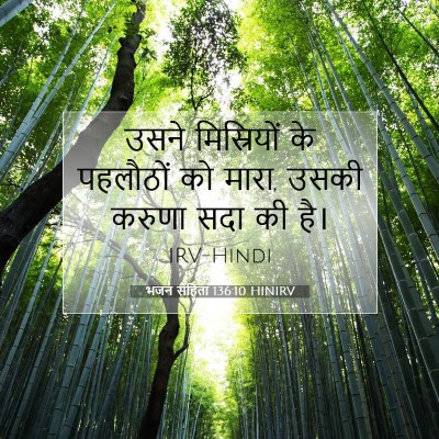 Picture 07 - भजन संहिता 136:10 HINIRV - उसने मिस्रियों के - Bible Verse Picture