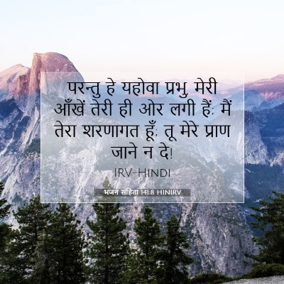 Picture 07 - भजन संहिता 141:8 HINIRV - परन्तु हे यहोवा - Bible Verse Picture