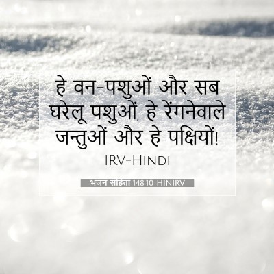 Picture 07 - भजन संहिता 148:10 HINIRV - हे वन-पशुओं और सब - Bible Verse Picture