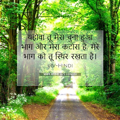Picture 07 - भजन संहिता 16:5 HINIRV - यहोवा तू मेरा चुना - Bible Verse Picture