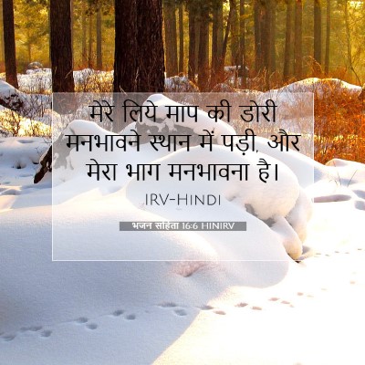 Picture 07 - भजन संहिता 16:6 HINIRV - मेरे लिये माप की - Bible Verse Picture